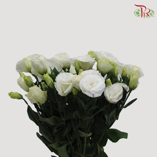 Eustoma - White (10 Stems)-White-Ecd-prflorist.com.my