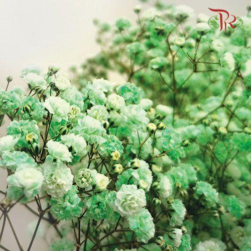 F'Sani Baby's Breath Dyed - Green (10 Stems)-Green-Ecd-prflorist.com.my