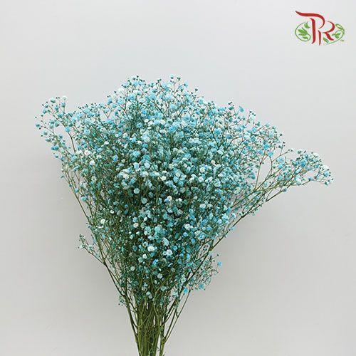 F'Sani Baby's Breath Dyed - Turquiose (10 Stems)-Turquiose-Ecd-prflorist.com.my
