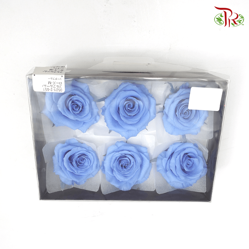 Full Bloom Rose M Preservative - Blue ( 0521-2-651 )-Blue-Japan-prflorist.com.my