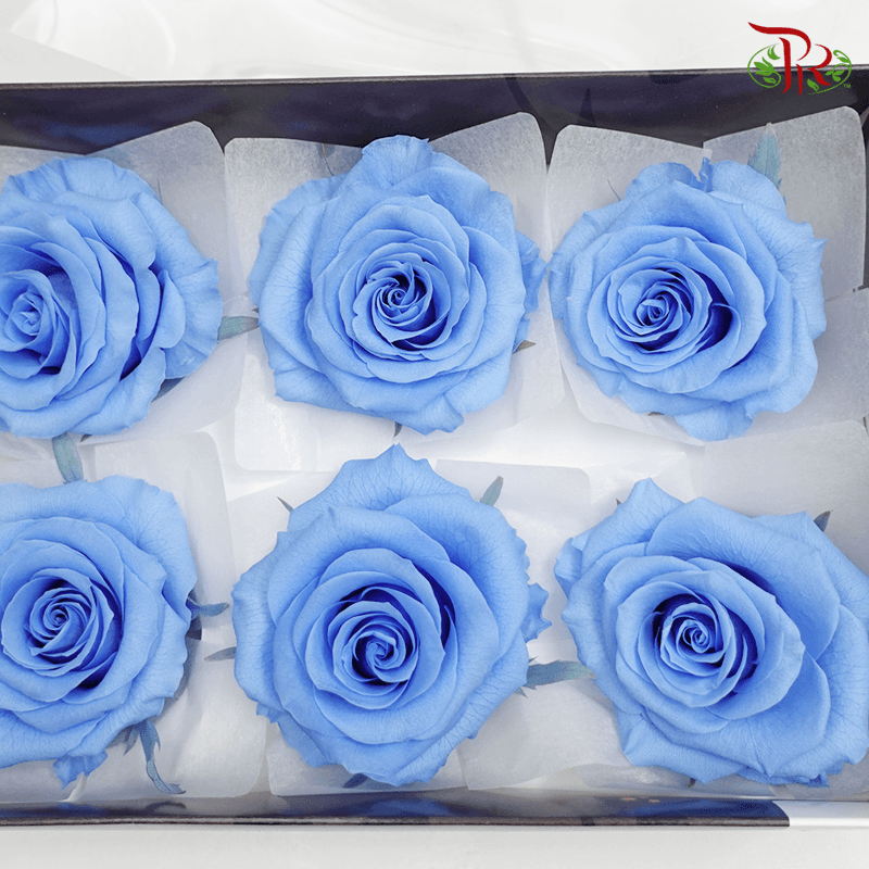 Full Bloom Rose M Preservative - Blue ( 0521-2-651 )-Blue-Japan-prflorist.com.my
