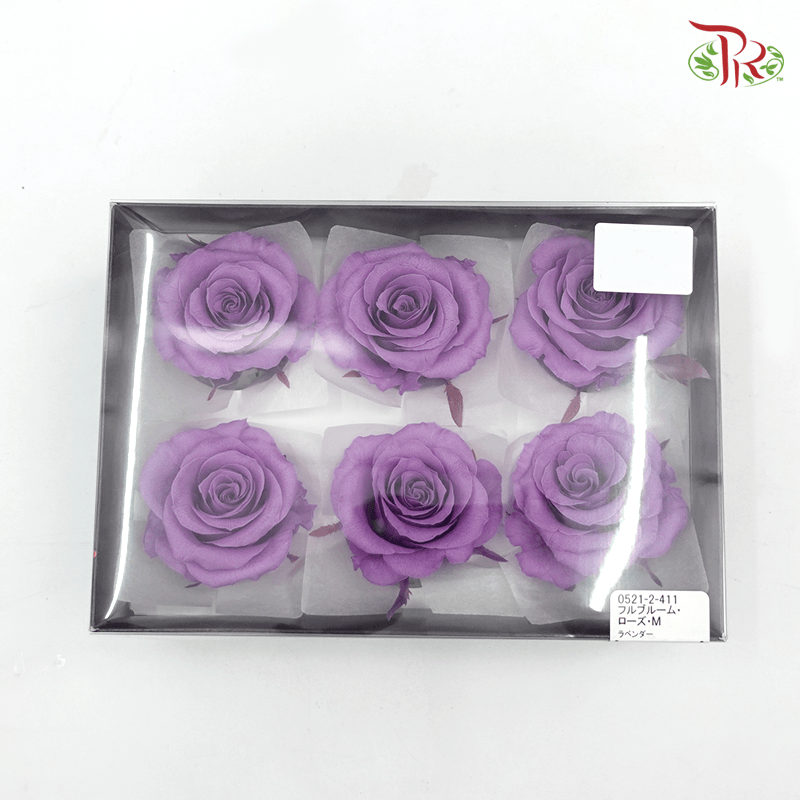 Full Bloom Rose M Preservative - Purple ( 0521-2-411 )-Purple-Japan-prflorist.com.my