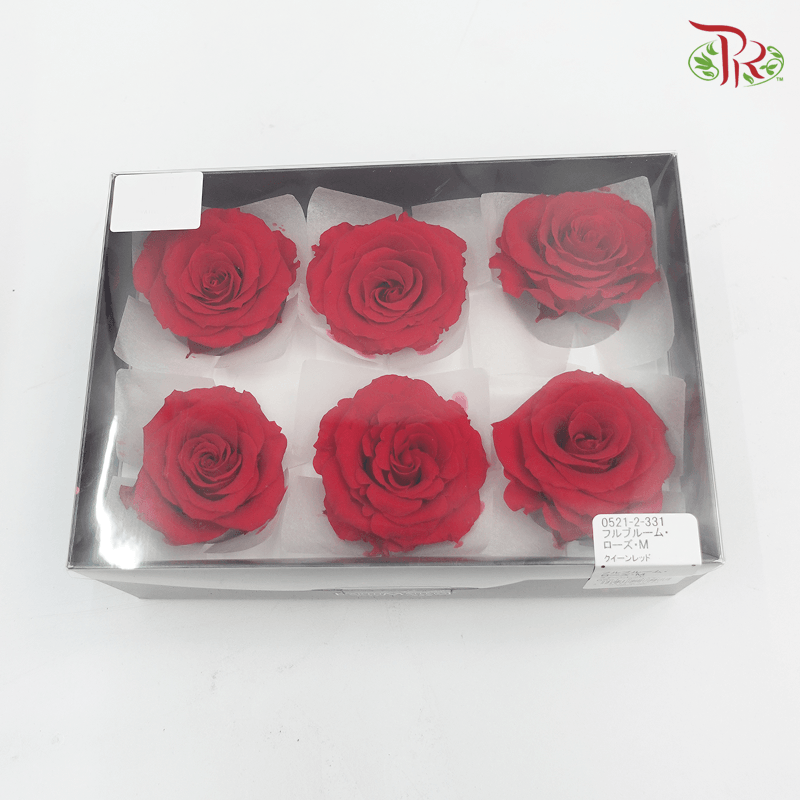 Full Bloom Rose M Presevative - Red ( 0521-2-321 )-Red-Japan-prflorist.com.my