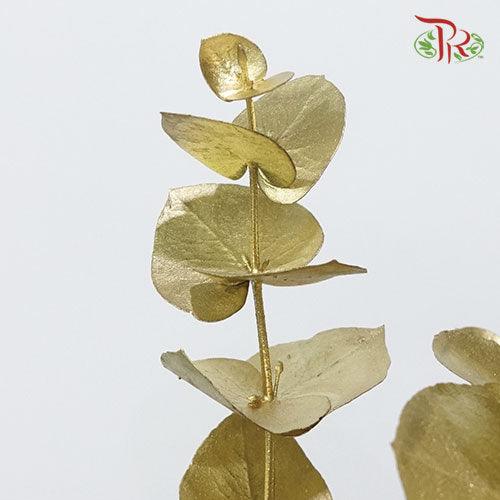 Eucalyptus Dyed Metal Preservatives - Gold - Pudu Ria Florist