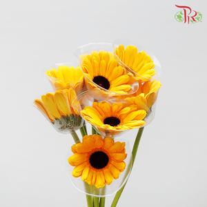 Gerbera - Golden Yellow (9-10 Stems)-Malaysia-prflorist.com.my