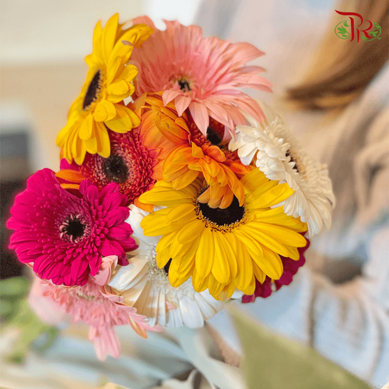 Gerbera Random Mixed Colours - 10 Stems-Malaysia-prflorist.com.my