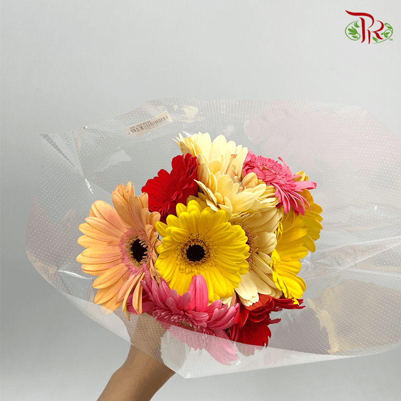 Gerbera Random Mixed Colours - 10 Stems-Malaysia-prflorist.com.my