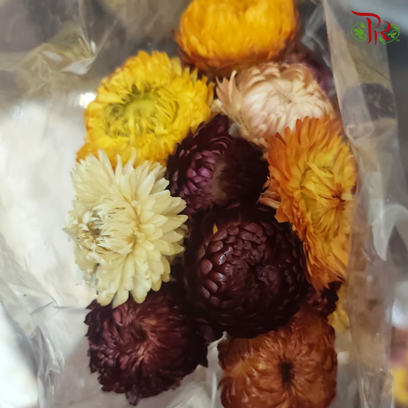 Dry Helichrysum Natural & Bleached/ Straw Chrysanthemum