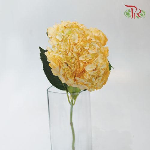 Hydrangea - Dyed Orange (Per Stem)-Orange-China-prflorist.com.my