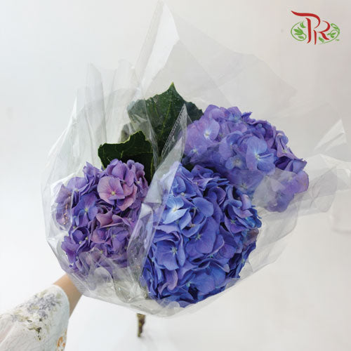 Hydrangea Mini - Purple (3 Stems)-Purple-China-prflorist.com.my