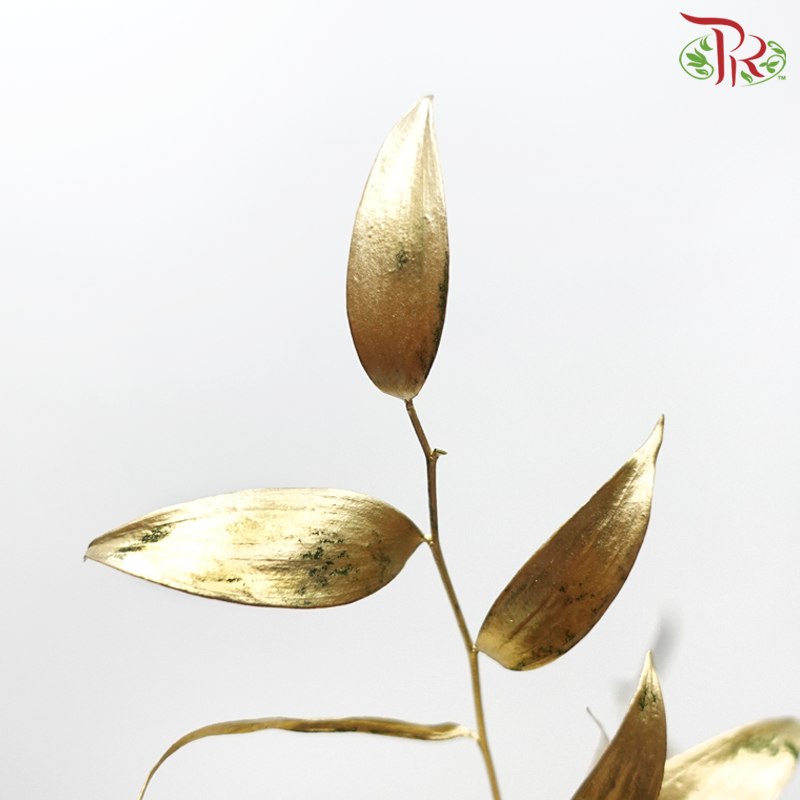 Italy Ruscus Dyed Metal Preservatives - Gold (Per Bunch)-Gold-Import-prflorist.com.my