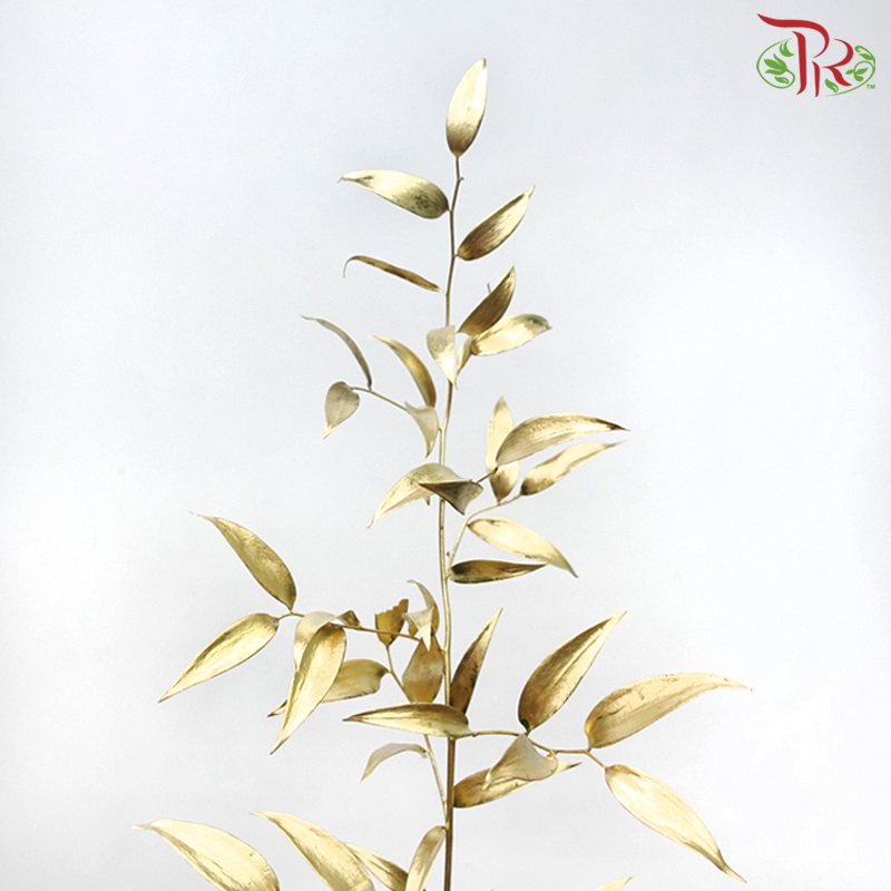 Italy Ruscus Dyed Metal Preservatives - Gold (Per Bunch)-Gold-Import-prflorist.com.my