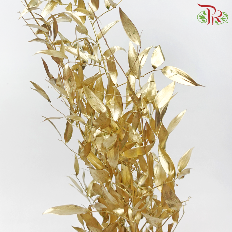 Italy Ruscus Dyed Metal Preservatives - Gold (Per Bunch)-Gold-Import-prflorist.com.my
