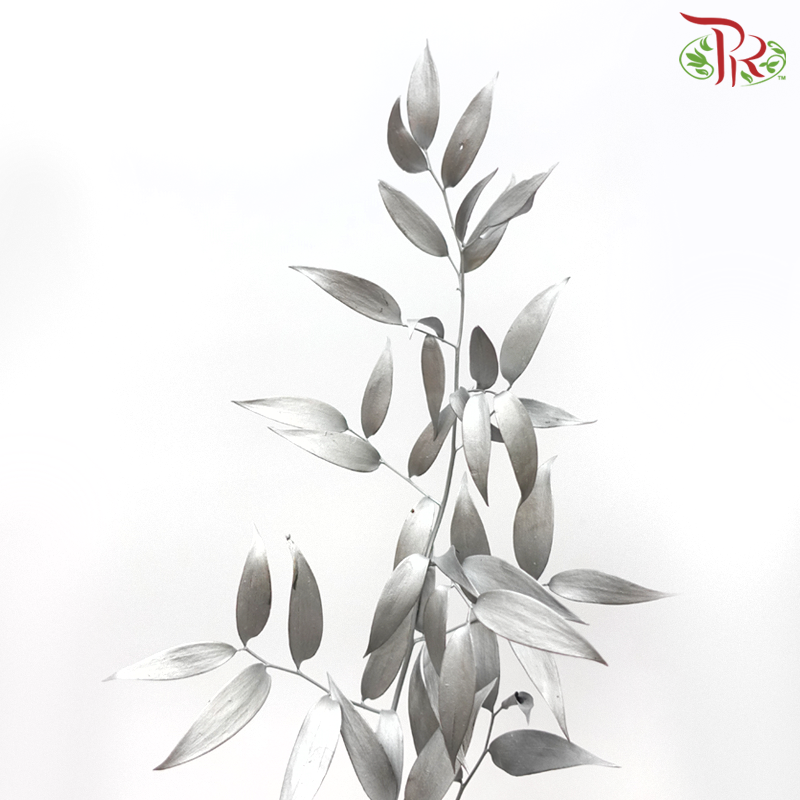 Italy Ruscus Dyed Metal Preservatives - Silver (Per Bunch)-Silver-Import-prflorist.com.my
