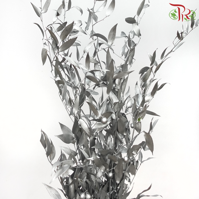 Italy Ruscus Dyed Metal Preservatives - Silver (Per Bunch)-Silver-Import-prflorist.com.my