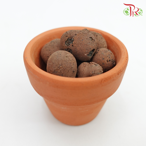 Clayball - 5L 陶粒