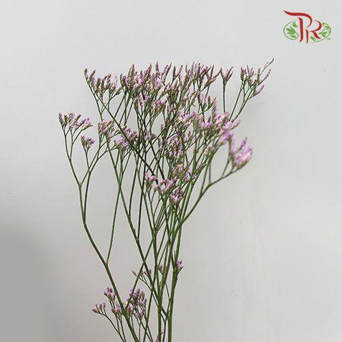 Limonium Dragon Star - Purple (Per Bunch)-Purple-China-prflorist.com.my