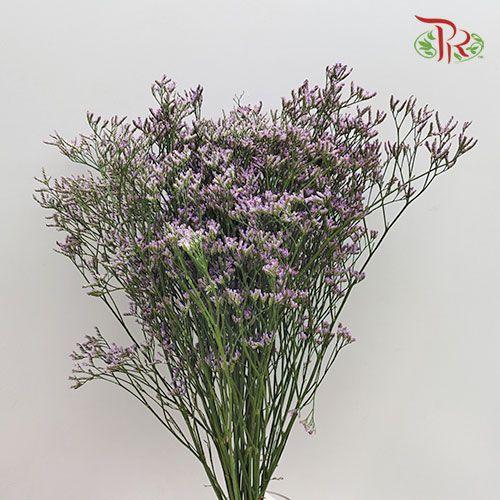 Limonium Dragon Star - Purple (Per Bunch)-Purple-China-prflorist.com.my