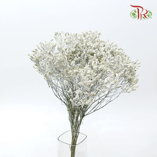 Limonium Dyed - Glitter (10 Stems)-Ecd-prflorist.com.my