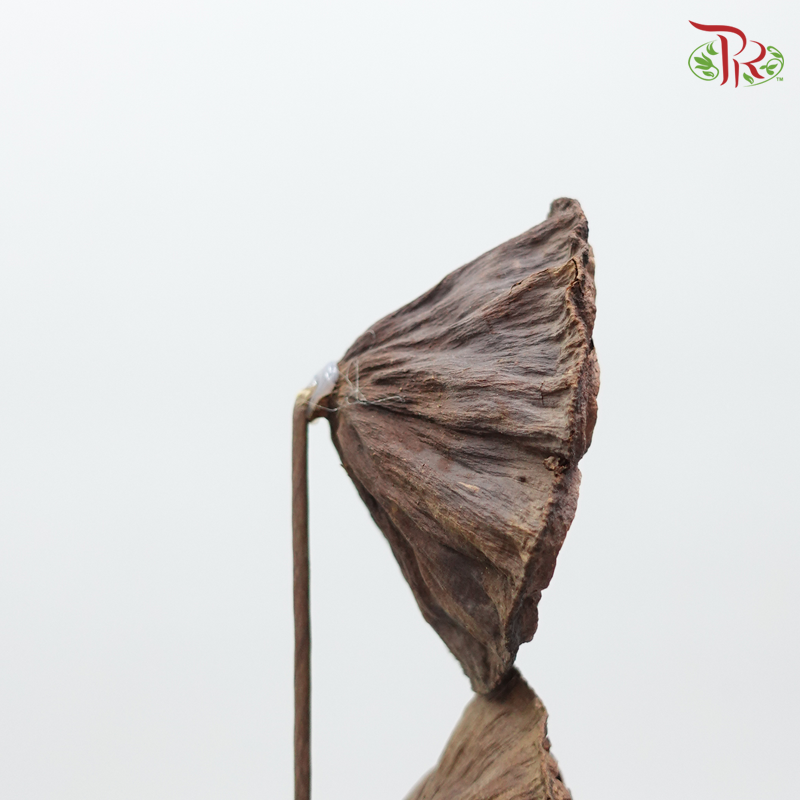 Lotus Pot Original-Pudu Ria Florist-prflorist.com.my