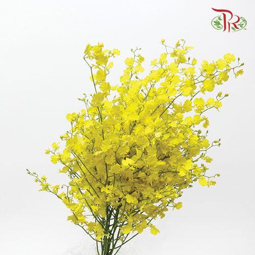 Orchid Oncidium Yellow - (5 Stems)-Yellow-Vietnam-prflorist.com.my