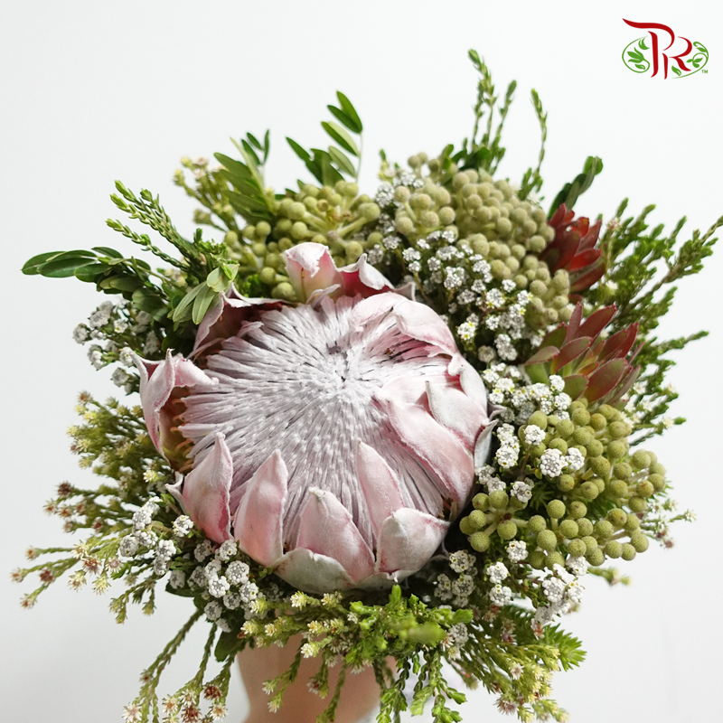 Safari Pink Protea Bouquet - Pudu Ria Florist