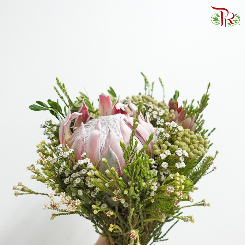 Safari Pink Protea Bouquet - Pudu Ria Florist