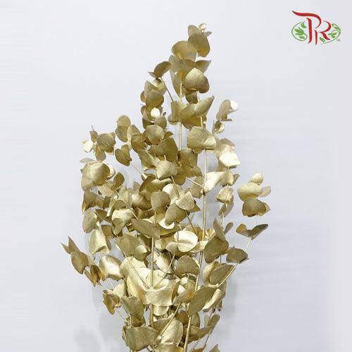 Eucalyptus Dyed Metal Preservatives - Gold - Pudu Ria Florist