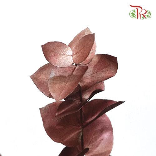 Eucalyptus Dyed Metal Preservatives - Bronze - Pudu Ria Florist