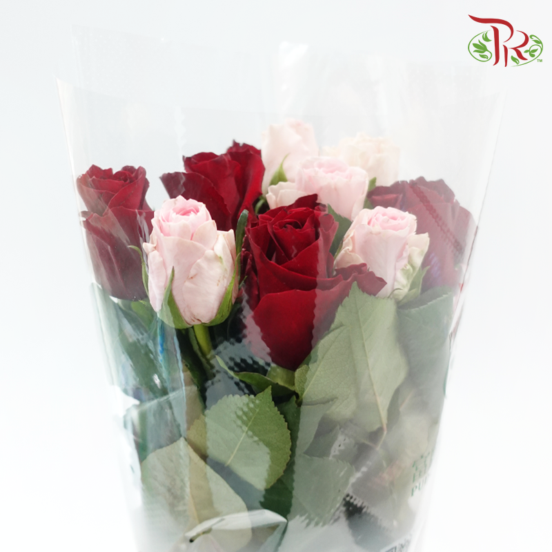 Passion With Gratitude - (Mixed - Kenya Ever Red & Duchess) - (10 Stems Per Bundle)-Kenya-prflorist.com.my