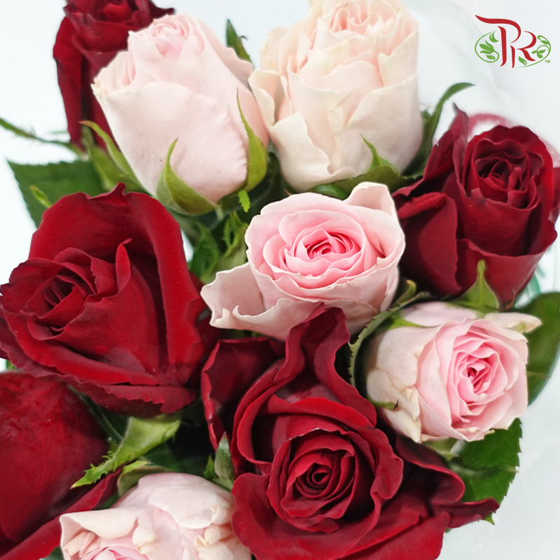 Passion With Gratitude - (Mixed - Kenya Ever Red & Duchess) - (10 Stems Per Bundle)-Kenya-prflorist.com.my