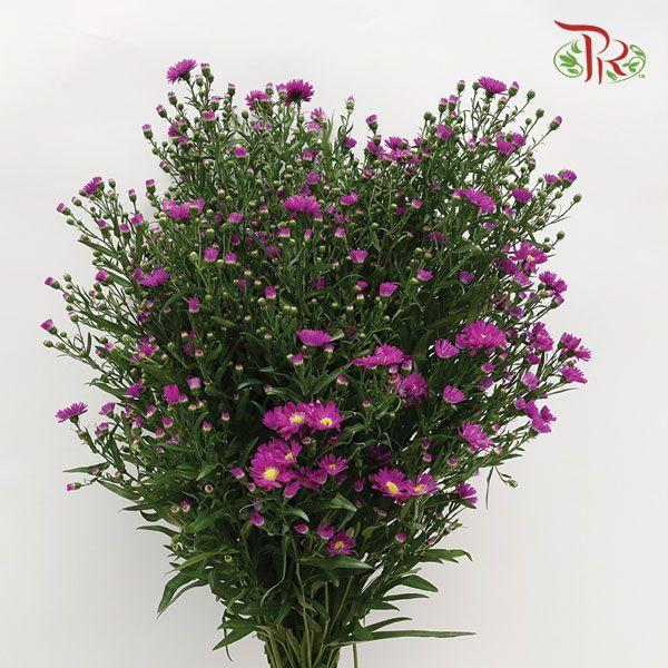 Peacock - Purple (Per Bunch)-Purple-Malaysia-prflorist.com.my