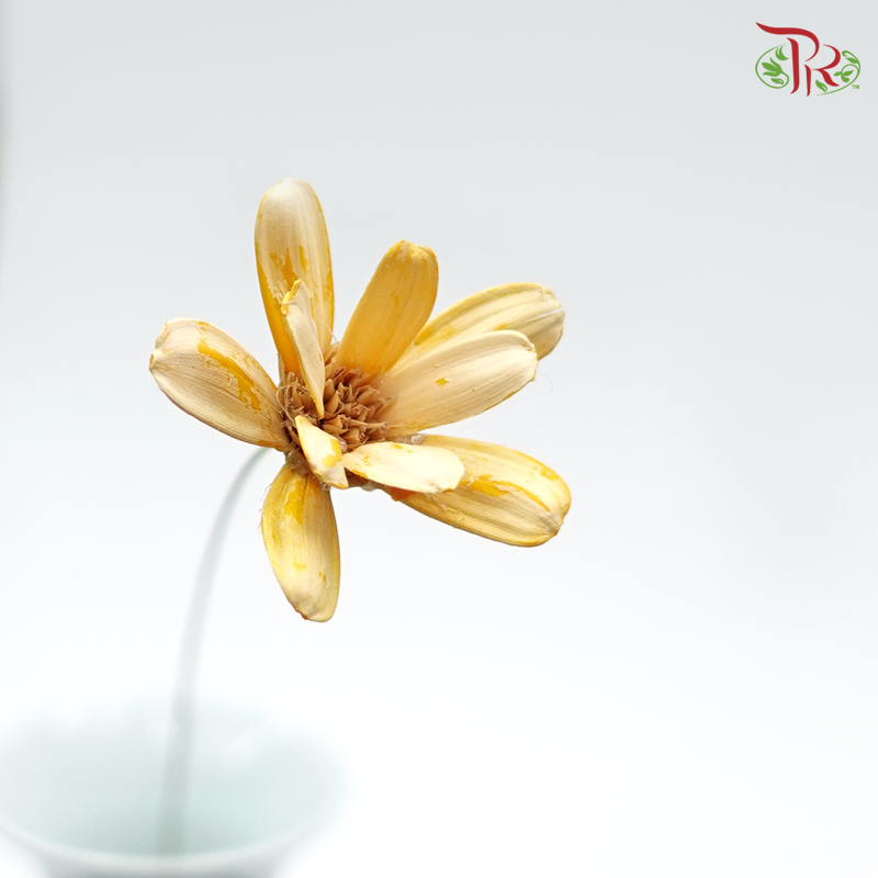 Petite Flower Preservative - ( 3214-0-510 )-Brown-Japan-prflorist.com.my