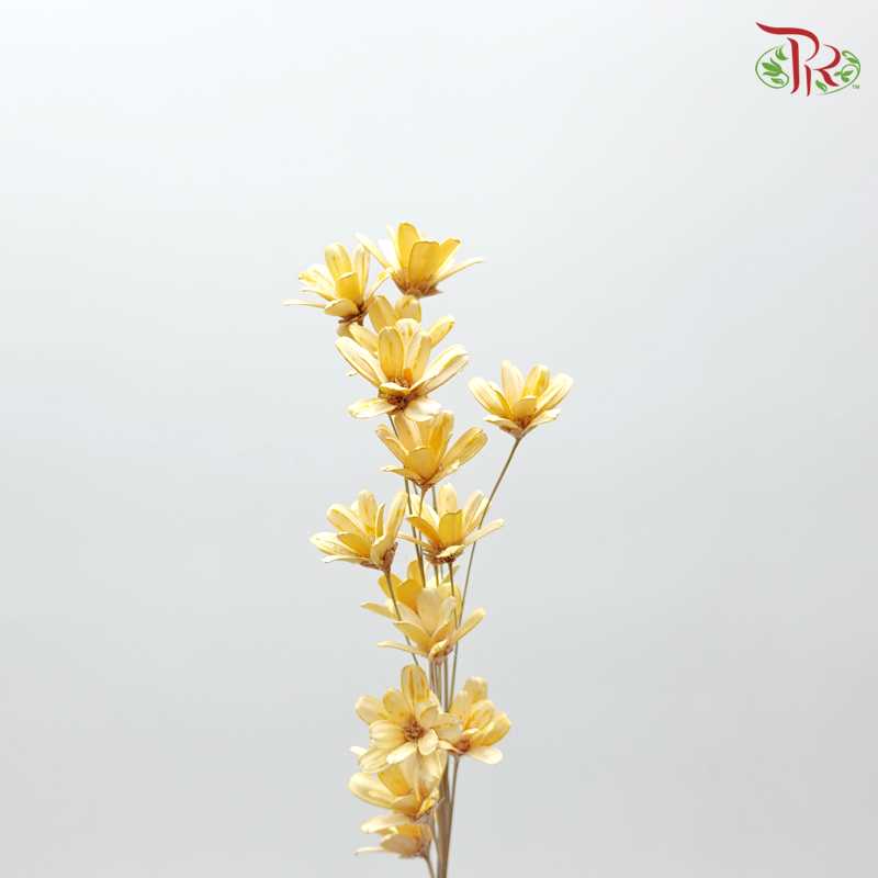 Petite Flower Preservative - ( 3214-0-510 )-Brown-Japan-prflorist.com.my