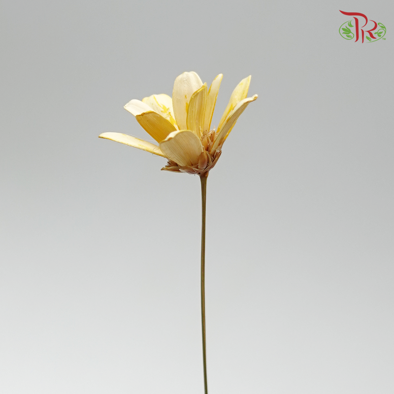 Petite Flower Preservative - ( 3214-0-510 )-Brown-Japan-prflorist.com.my