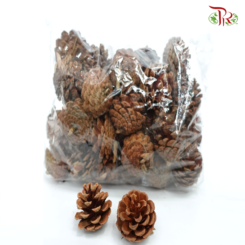 Pine Cone- Big size (10 pcs)-Brown-Netherland-prflorist.com.my
