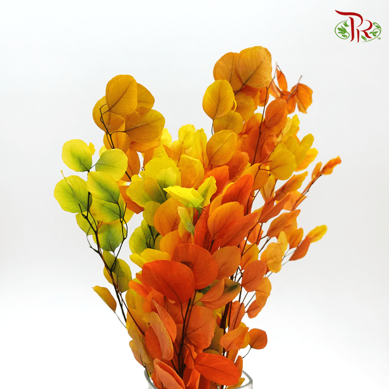 Eucalyptus Dyed Populus - Fusion Orange - Pudu Ria Florist