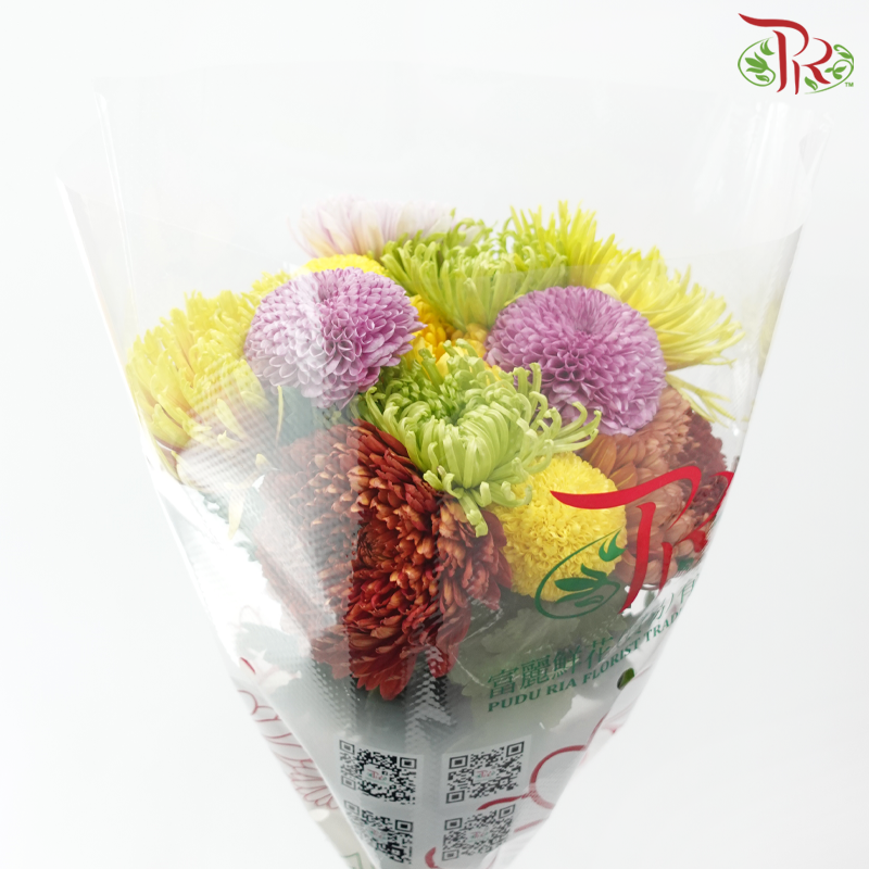 Prayer Bunch - Ping Pong + Net Mum (12 Stems)-Malaysia-prflorist.com.my