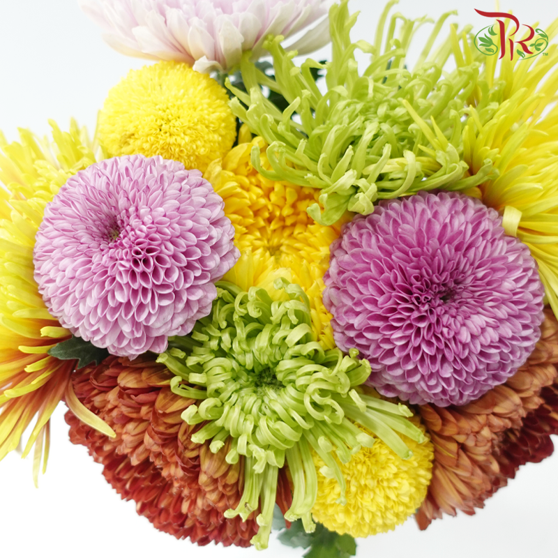 Prayer Bunch - Ping Pong + Net Mum (12 Stems)-Malaysia-prflorist.com.my