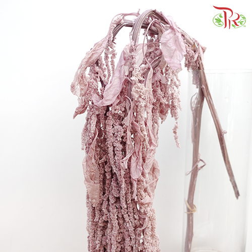 Preservative Amaranthus Hanging - Dusty Purple-Dusty Purple-China-prflorist.com.my