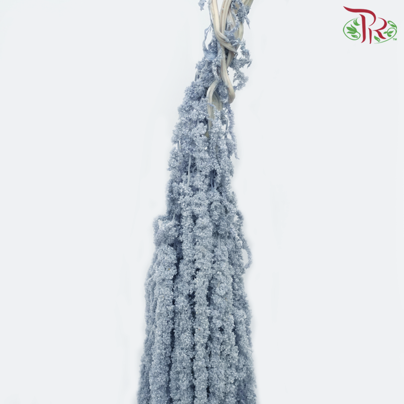 Preservative Amaranthus Hanging - Greyish Blue-Greyish Blue-China-prflorist.com.my