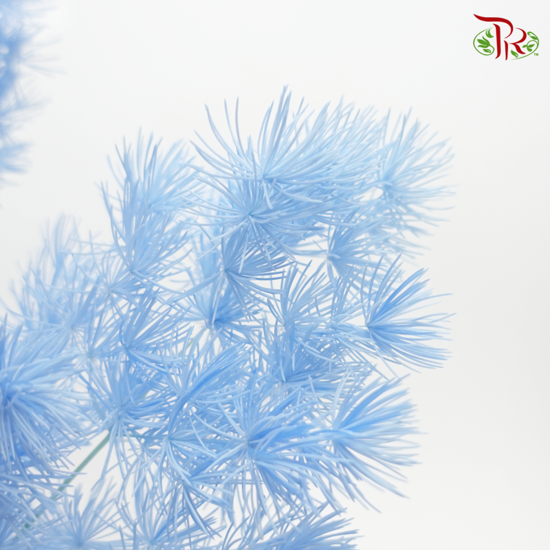 Preserved Asparagus Leaf - Blue (Per Bunch)-Blue-China-prflorist.com.my