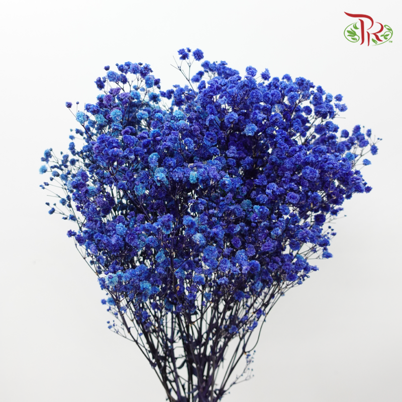 Preserved Baby's Breath - Dark Blue (Per Bunch)-Dark Blue-China-prflorist.com.my