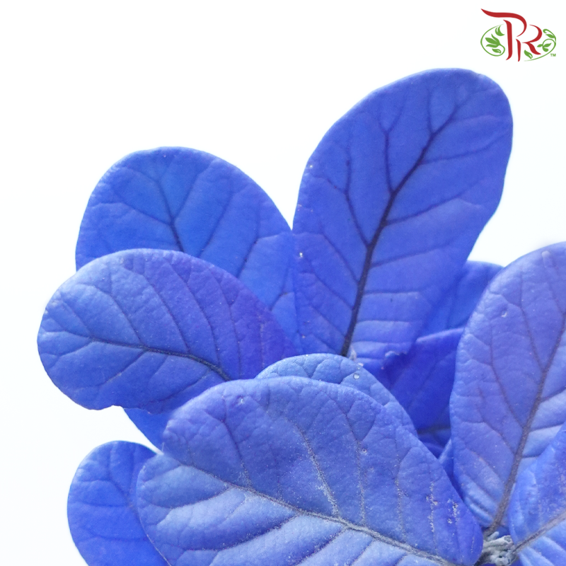 Preserved Chestnuts Leaf - Blue (Per Bunch)-Blue-China-prflorist.com.my