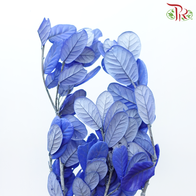 Preserved Chestnuts Leaf - Blue (Per Bunch)-Blue-China-prflorist.com.my