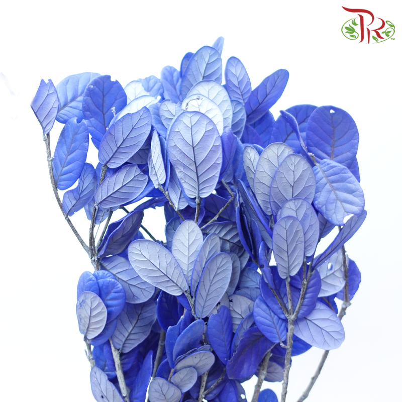 Preserved Chestnuts Leaf - Blue (Per Bunch)-Blue-China-prflorist.com.my