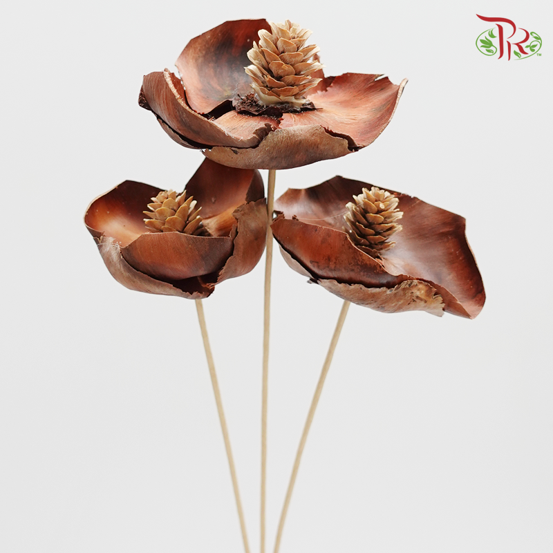 Preserved Coco Flower - Dark Brown - 3 Pcs (4052-0-000)-Brown-Japan-prflorist.com.my