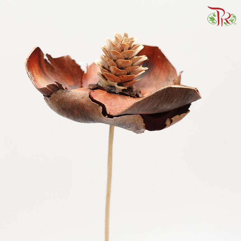 Preserved Coco Flower - Dark Brown - 3 Pcs (4052-0-000)-Brown-Japan-prflorist.com.my