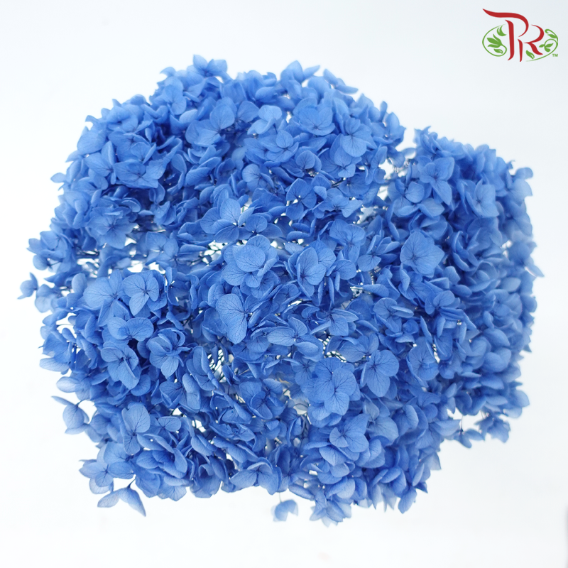 Preserved Hydrangea - Blue 1 (Per Stem)-Blue 1-China-prflorist.com.my