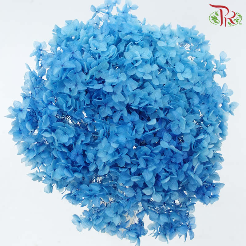 Preserved Hydrangea - Blue 2 (Per Stem)-Blue 2-China-prflorist.com.my
